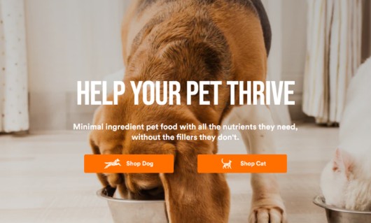 Storybrand Examples - Pets