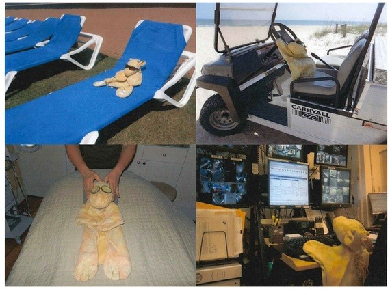 Joshie the giraffe - DigitalMarketingJobs.org